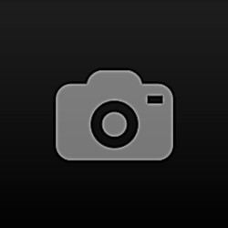 sam israel - i love ladyboys