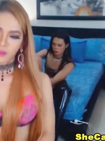 Two extra Hot shemale couple suck each others cock live