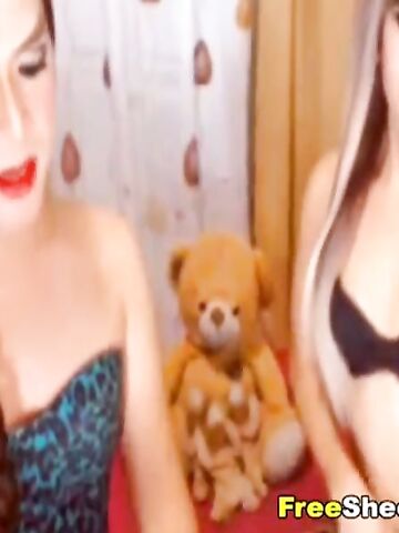 Asian shemale plays their big cock and big tits