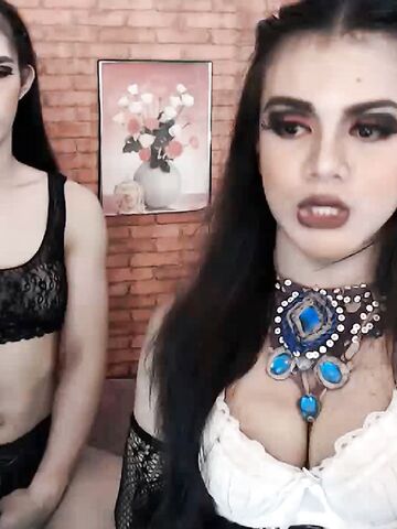 Two Hot shemale Loves sucking each other