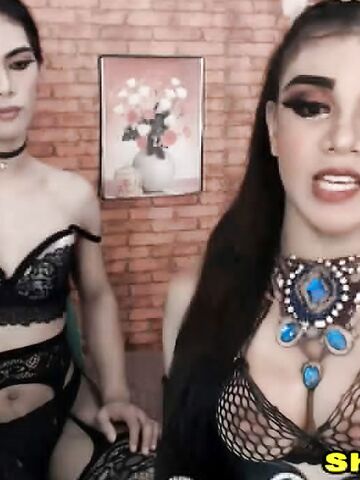 Sexy Shemales Fuck Each Other Good