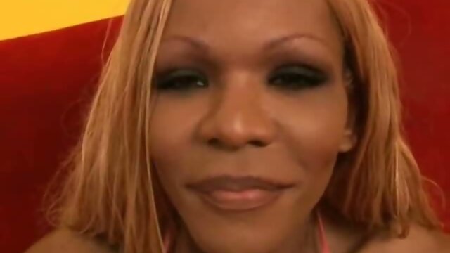 Black tranny in solo set