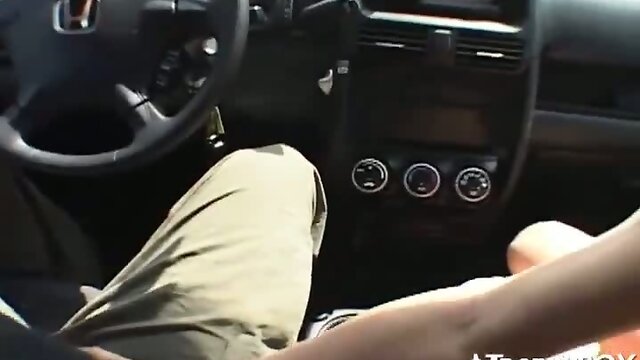 Driving a shemale slut home