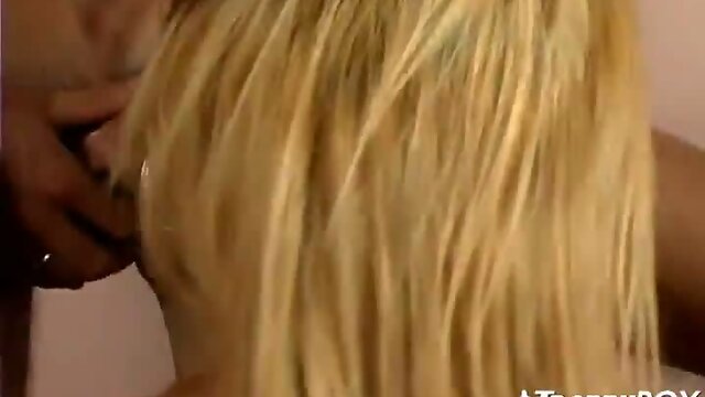 Oral with total shemale babe