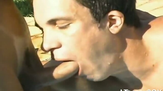 Shemale and lover poolside sex