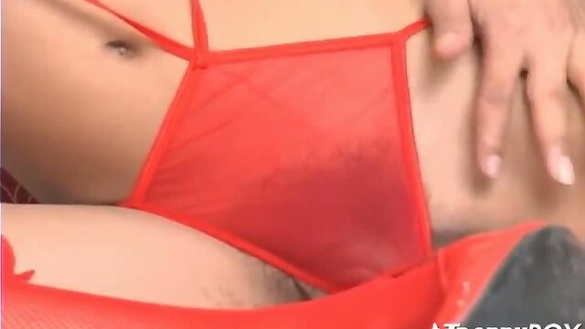 Erotic foreplay with sexy shemale