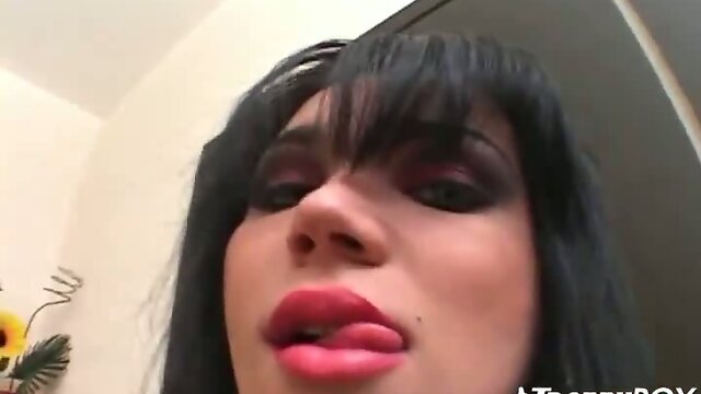 Sucking a gorgeous shemale