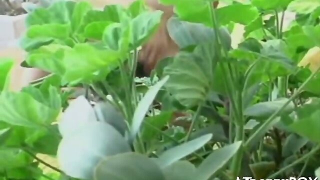 Skinny shemale nailed outdoors