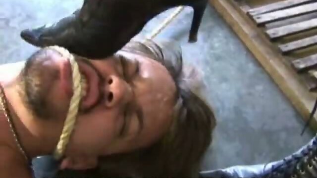 Bound guy fucked by shemales