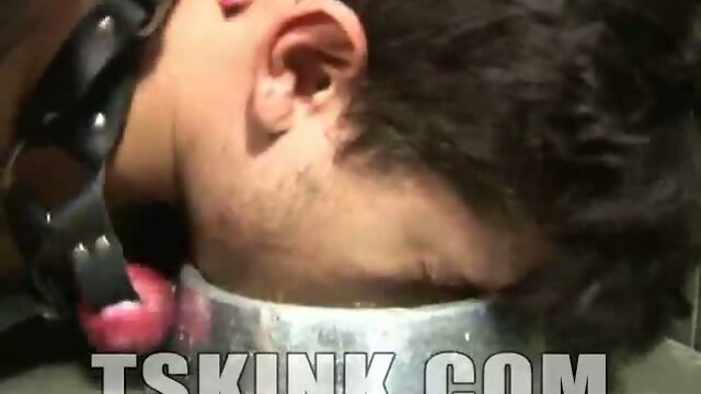 He is her submissive pet