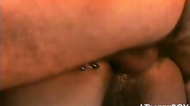 Slim stockings tranny sex