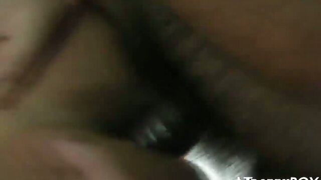 Tranny bottom filled up