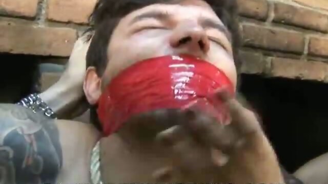 Bent over by hot shemales