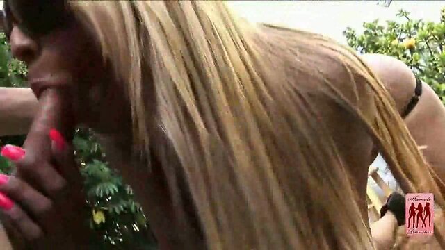 Great looking tranny fucked hard