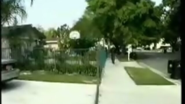 Honey just loves to meet the new neighbours