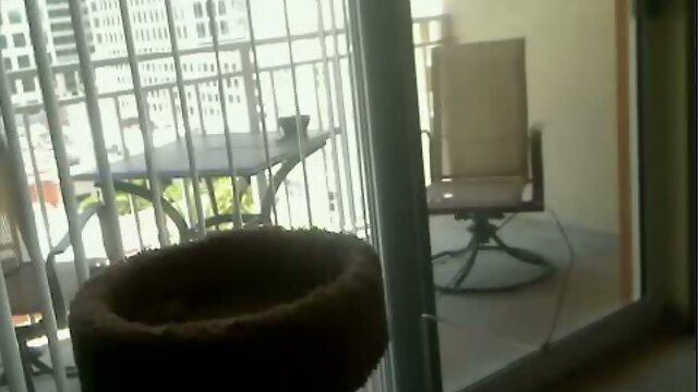 Cute shemale teases on cam