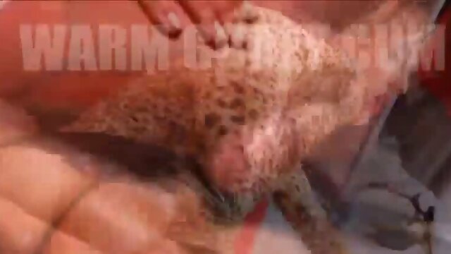 Watch it and cum. PM vol. 22