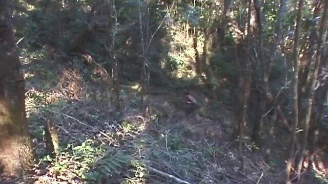 public beautiful shemale suck and fuck