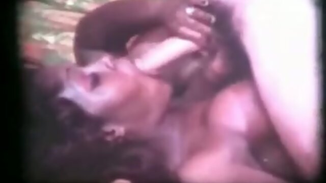 A Timeless Respect: Vintage Tranny