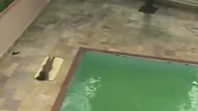 Pool boy fucks hot Latina shemale