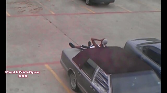 Mouthwideopenxxx Xrated Amateur Tranny Porn