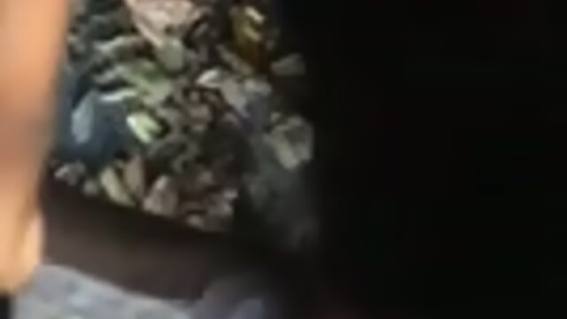 Jailynn AKA The Dick Bully