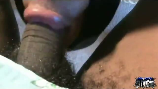 Thick black shemale bones him