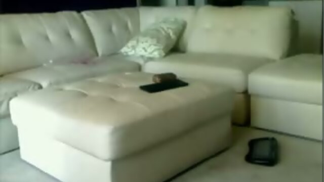 Leggy bikini shemale on webcam