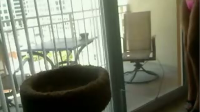 Leggy bikini shemale on webcam