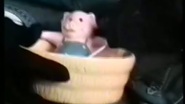 Vintage Expertise: Ann Drogeny in Drar