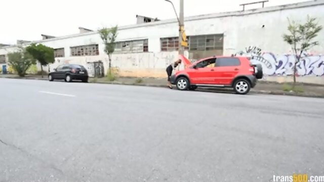 Super Ramon pounds some tranny ass on Dany Barony