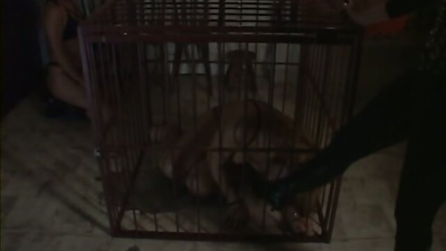 Bitch sucking tranny cock while in a cage