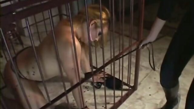 Bitch sucking tranny cock while in a cage