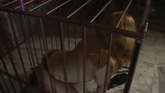 Bitch sucking tranny cock while in a cage