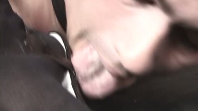 Group of trannies enslaving men at their disposal