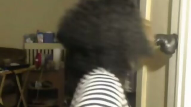 Black tranny with a nice dick on cam