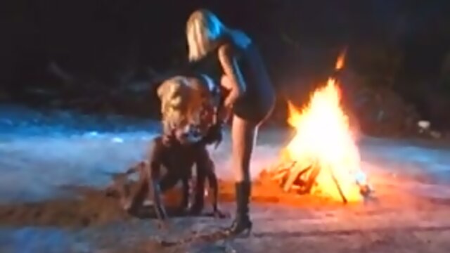 Life`s a Box of Chocolates: Trans, Straight, & Everything In Between!