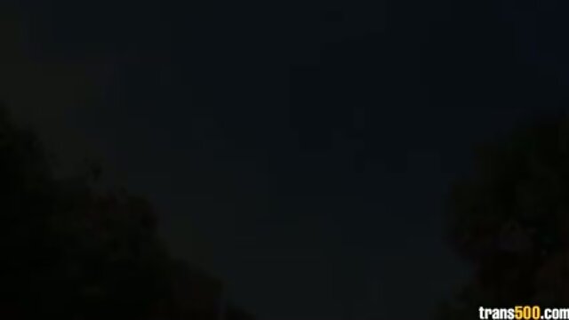 Marvelous Asian shemale takes two big cocks