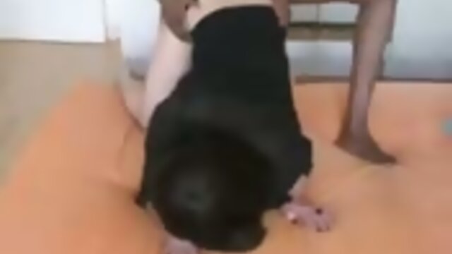 White Shemale Sucks And Fucks Big Black Cock