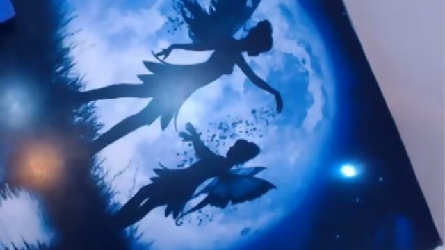 sahara trans corrida