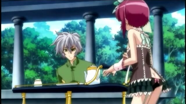 Cute anime shemale maid ass fucking