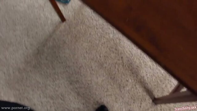 Shemale gets fucked from behind over the desk