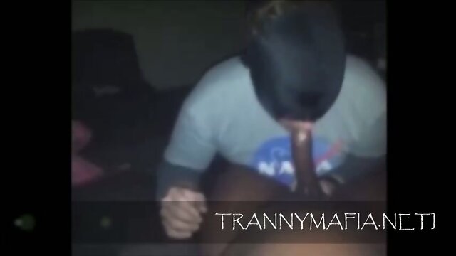 Sensual Moves and Seductive Curves: A Beautiful Transgender Performance