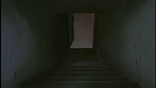 Sexy shemale anime sex