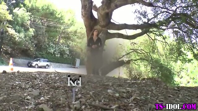 Shemale fucks fleshlight