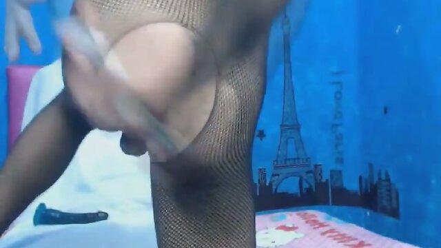 Watch a Stripping Shemale Expose Her Huge Dick - Anal & Masturbation Fun!