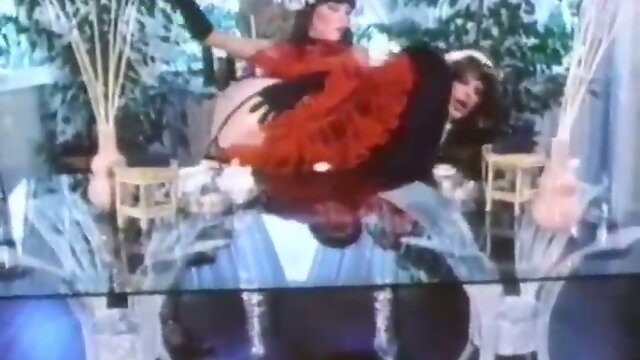 A Timeless Love: Vintage Shameles Passionate Encounter