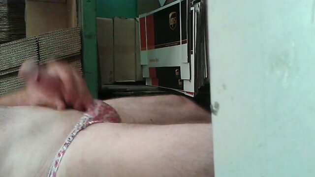 My little satin kitty cat panties