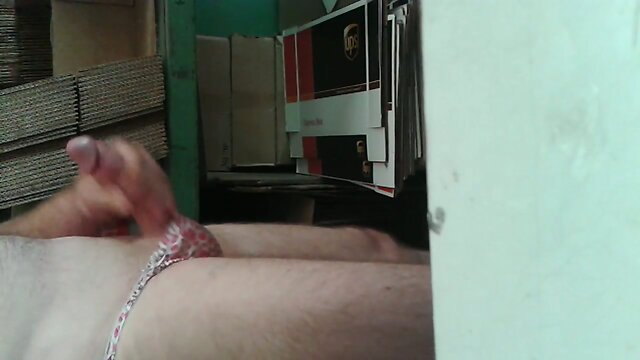 My little satin kitty cat panties