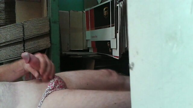 My little satin kitty cat panties